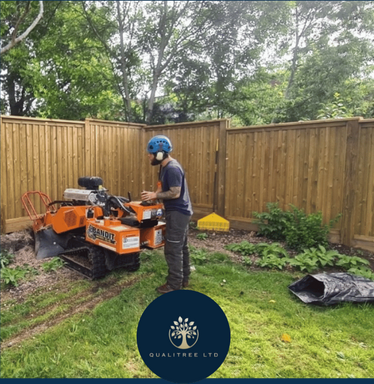 Stump Grinding